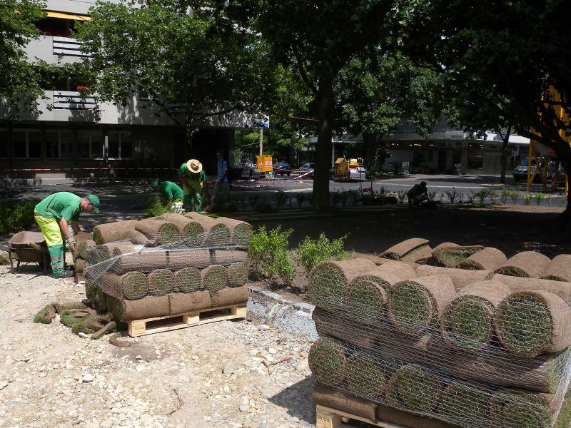 Der Karl Barth-Platz wurde mit Rollrasen ausgelegt und war in einem Tag begrünt.