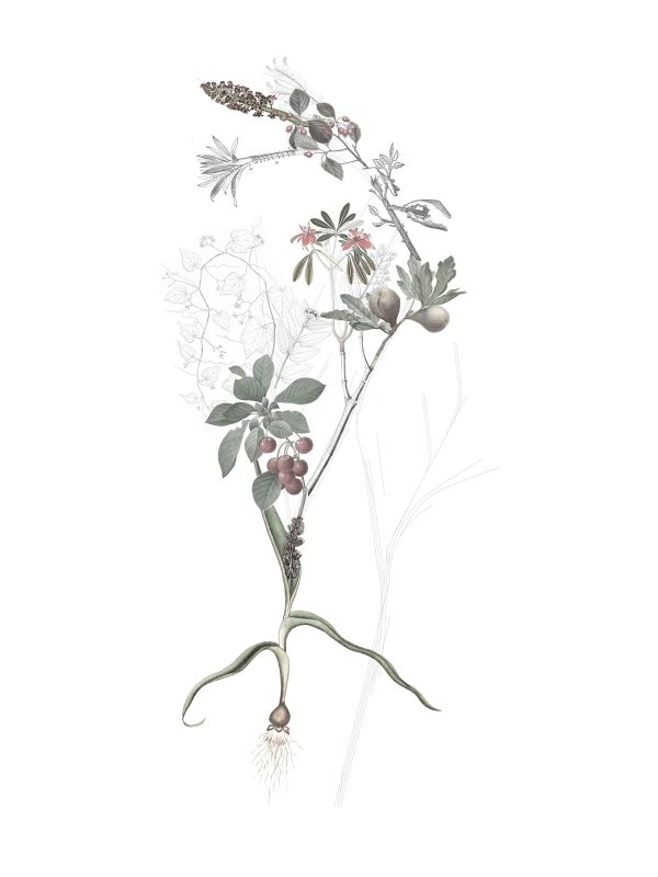 Fotomontage des Entwicklungskonzepts für den Gleisbogen